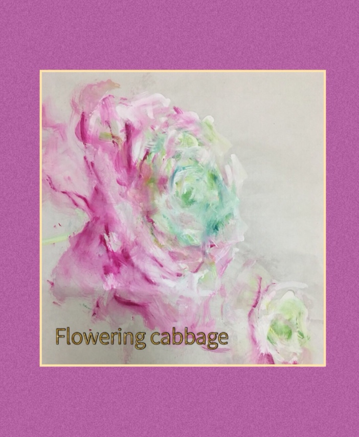 cabbage 