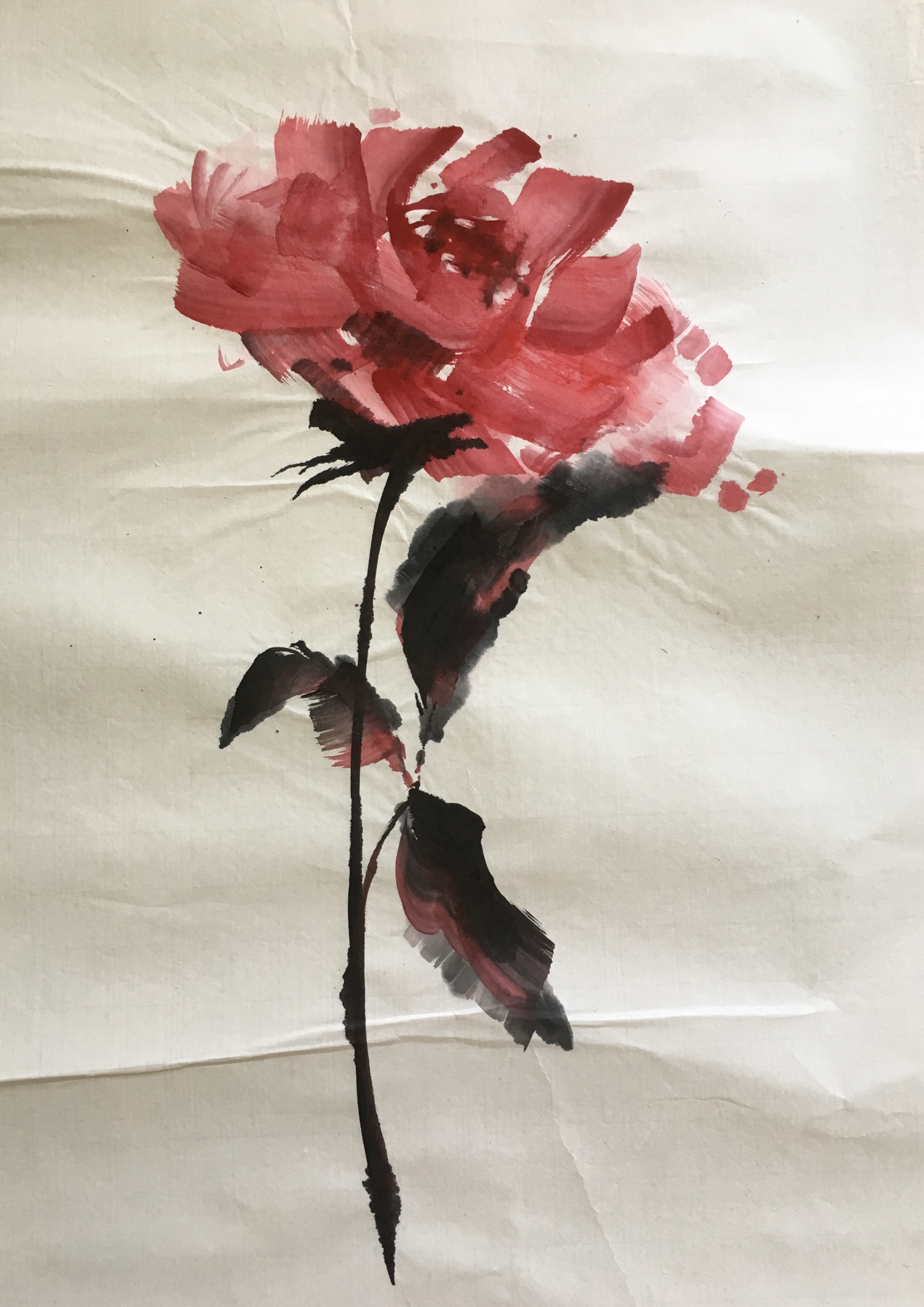 rose