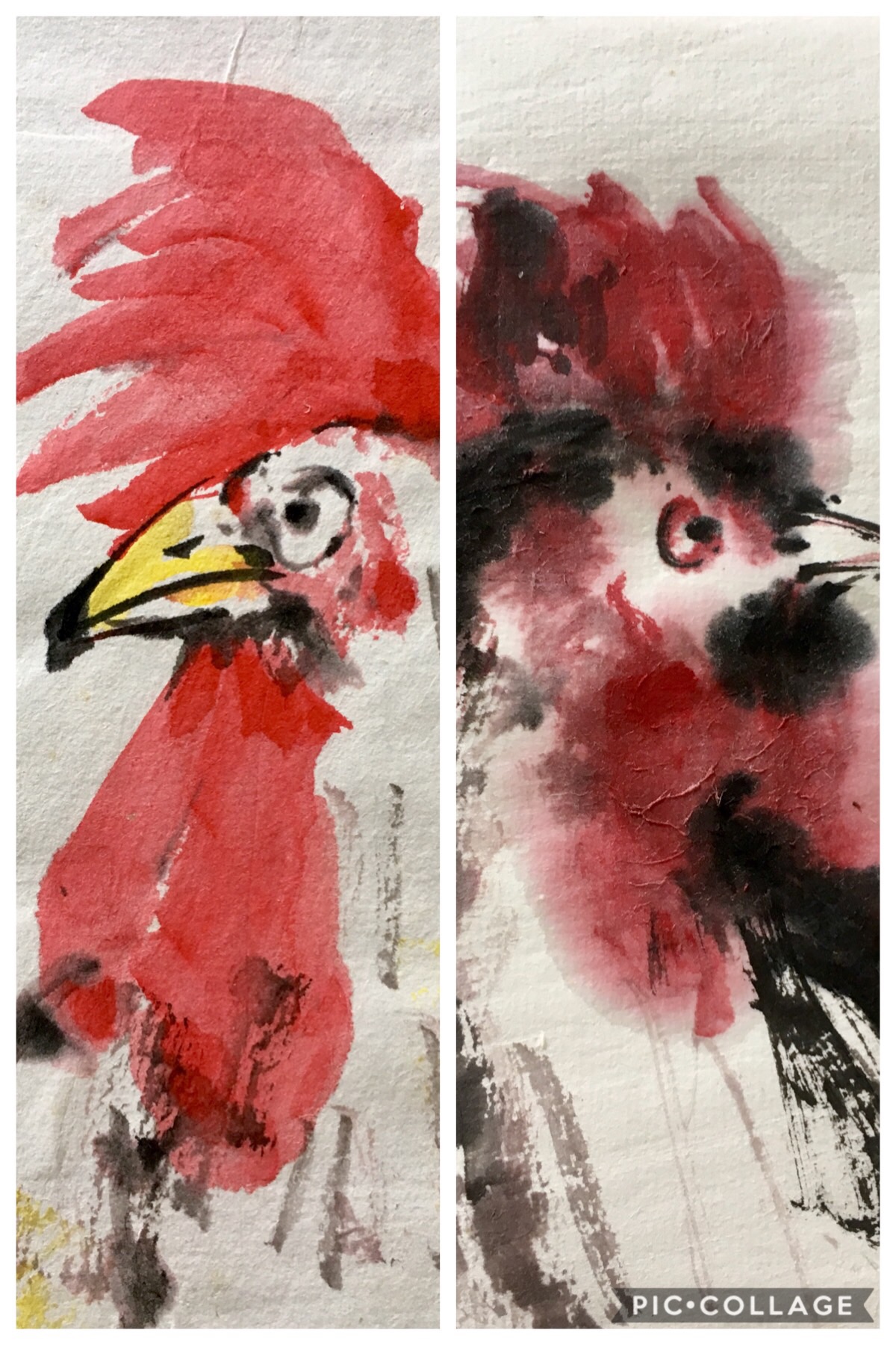 chicken 