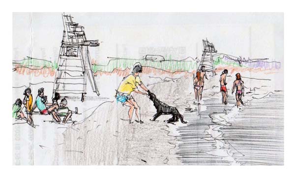 playing with a dog on beach