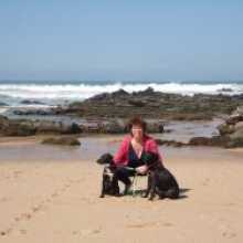 Portuguese Speech therapist living in the UK and hoping for a better future.