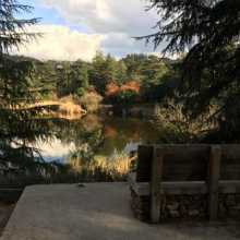 Bench overlooking reservoir