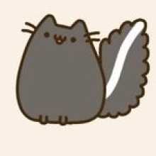 Kat