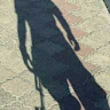 Profimg