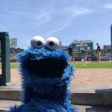 Smiling cookie monster at a baseball game.