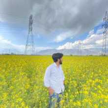 myPic