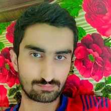 My picture 
