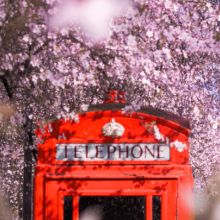 London