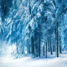 i love snow