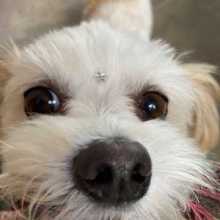 Hi there!