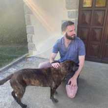 man petting dog