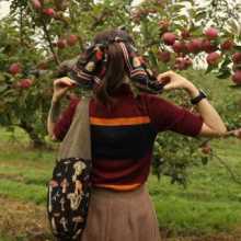 Image of the back of someone in an apple field they are wearing a red orange and blue striped short sleeve shirt and a light brown skirt