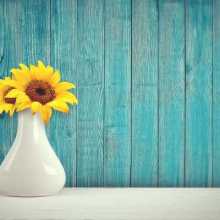 A Story of Flowers