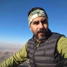 reza alvandi