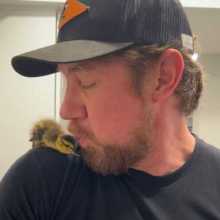 Life is beautiful with animals 
