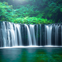 Just Nature