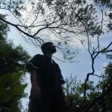 Submerging to divergence