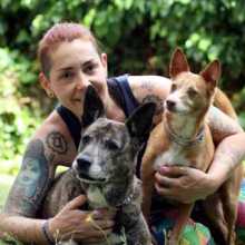 Spanish- Deutsch Tandem gesucht