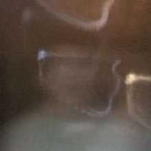 A language enthusiastic who's culture learner and is going to study psychology in uni