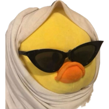 It's just a cute hijabi duck 🤭