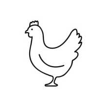 chicken