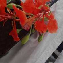 Red flowers carried in a college side bag.