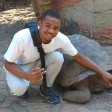 Tourist tortoise 