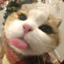  next time, i will be fluent in Chinese