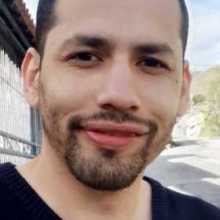 I don't know what to write here, but I like dogs