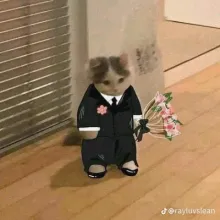 hi