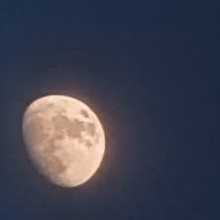 Hii I am gaurav you wanna talk