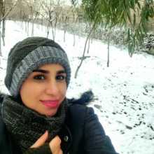 Here to learn more languages