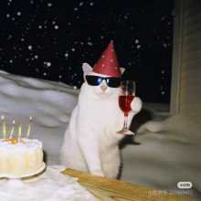 There is cat with wine and cake. This photo from pinterest