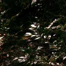 Hello, English is my primary learning subject.