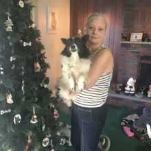 What's an alternative text?!