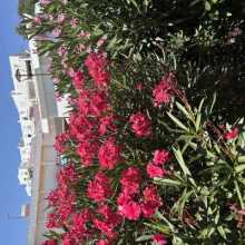 It won’t let me change the image hehe