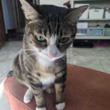 Hi, I'm Marin. Nice to meet you.