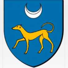 d'azur à un chien passant d'or surmonté d'un croissant d'argent[