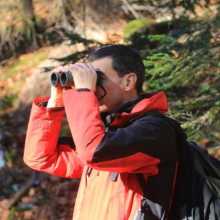 During a birdwatching session