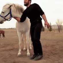 This moment with Yılgın (my horse) standing beside me reflects the bond we share. When I hold his neck, I can feel the trust and love between us