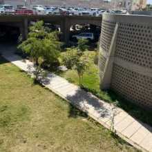 Hi everyone,  im amna and I want to learn to speak Italian through this app 