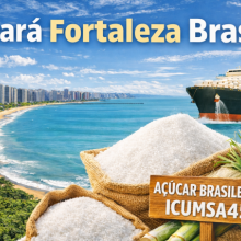 Hi here for chat friend learning language Portugese english spanish 