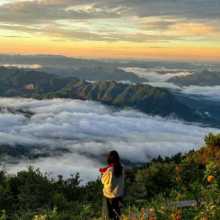 A beautiful landscape