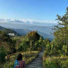 My name is Camille, I love nature and I would love to exchange with you and learn spanish !