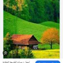 Let's practice English together ❤️ 