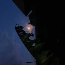 An easygoing fella from the complex cultural diversions of ethiopia