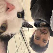 Hi there. I love traveling, reading, and discovering new cultures through conversation. I hold a Master’s degree in Sociology and I’m deeply interested in philosophy and literature. I enjoy exchanging ideas with people from different backgrounds.