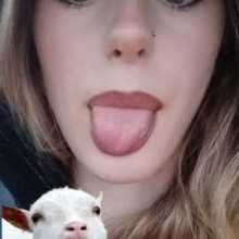 Bellainglesa