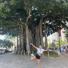 A beautiful banyan tree with sprawling branches and hanging roots, creating a peaceful and shady spot along the street