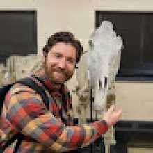 A gentleman points to an anatomical specimen of a horse skeleton.